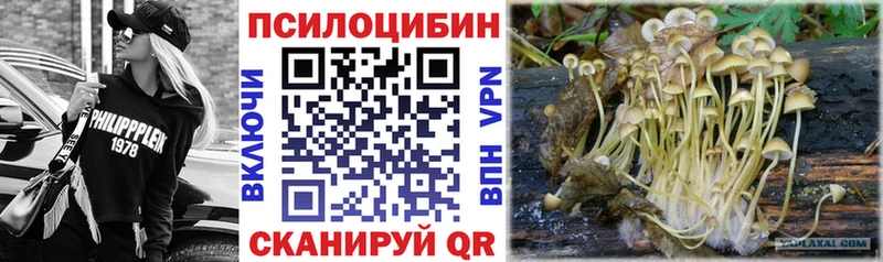 Псилоцибиновые грибы MAGIC MUSHROOMS  Саранск 