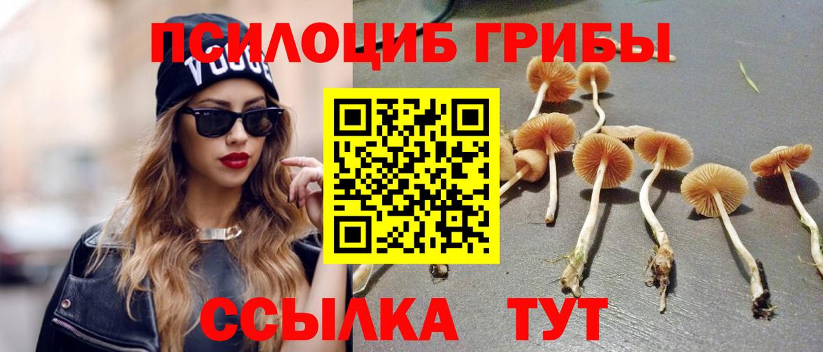 Галлюциногенные грибы мицелий  Вход с VPN  Саранск 