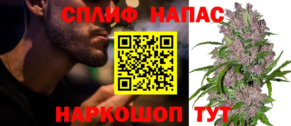 МЕФ Саранск